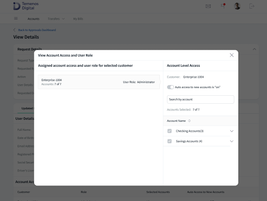 View Account Access and User Role